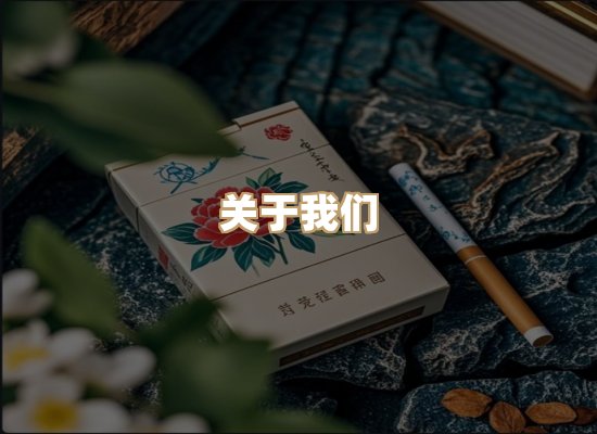 关于星澜香烟网